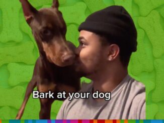 "Bark at Your Dog" TikTok Trend Raises Concerns